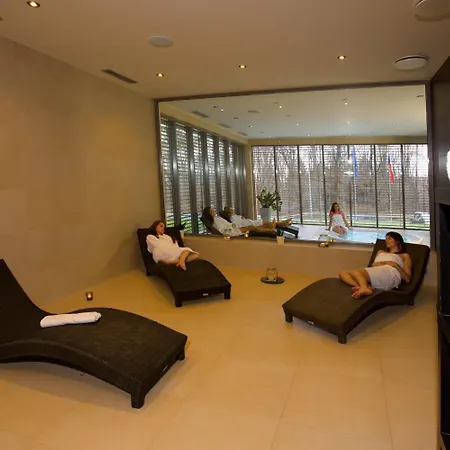 Hotel Lesni 4*