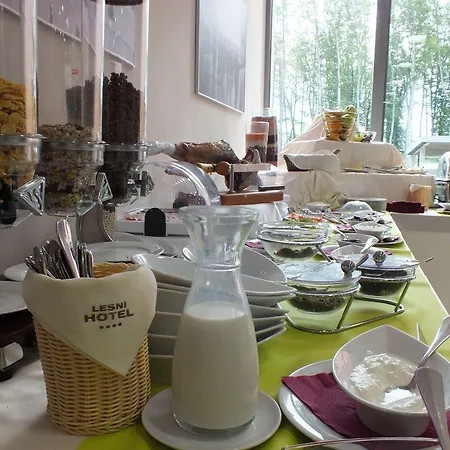 Lesni Hotel